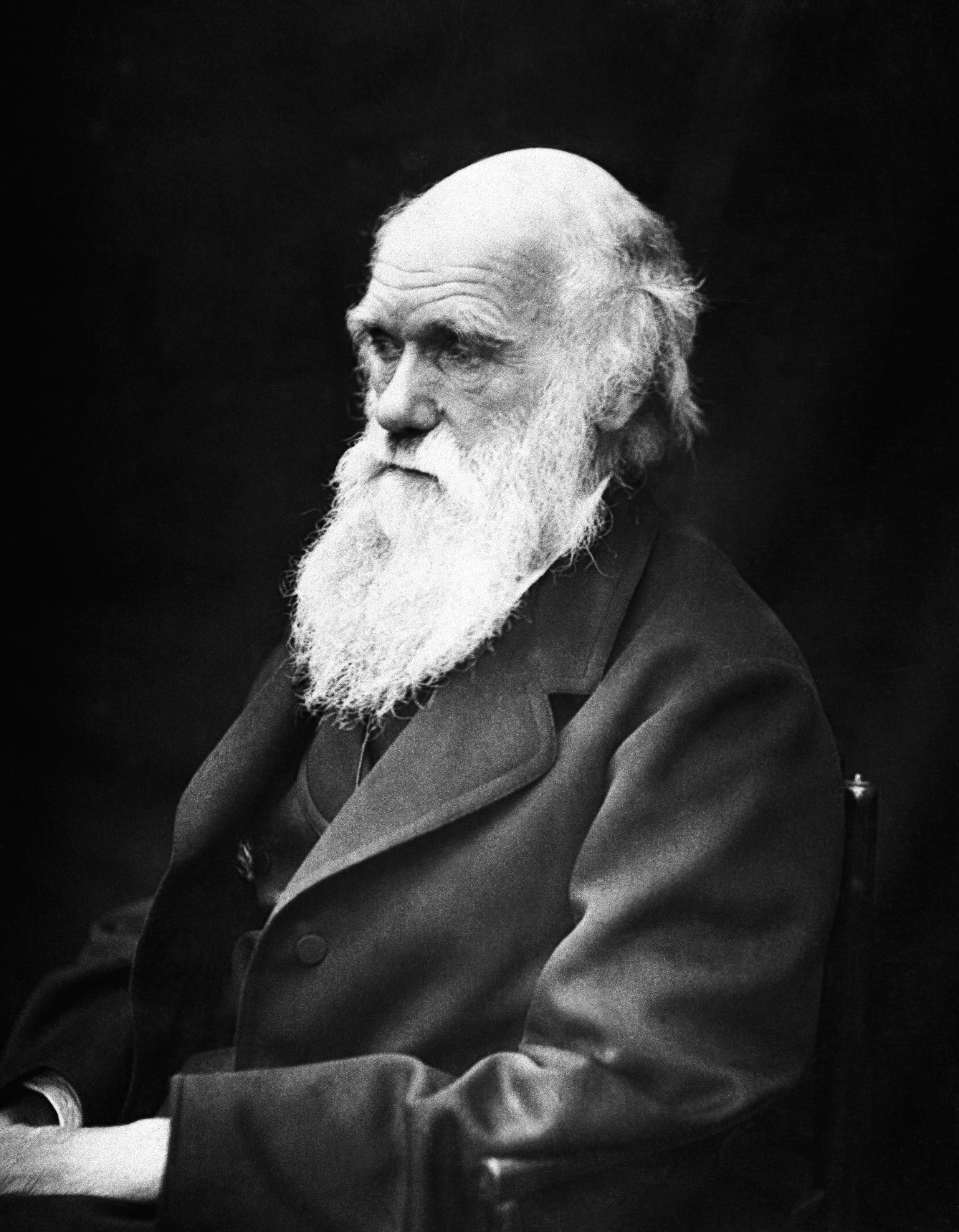 Photo of Charles Darwin