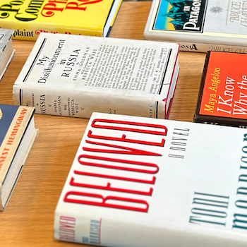 The Art of the Dust Jacket