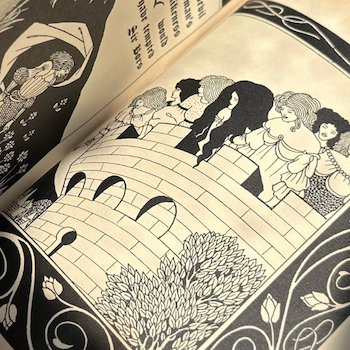 Illustrated New Arrivals