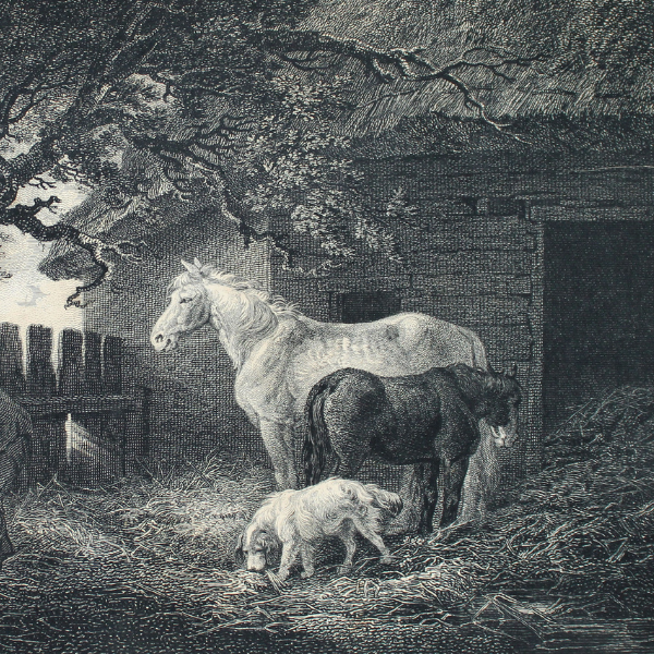 Antiquarian Agrarian