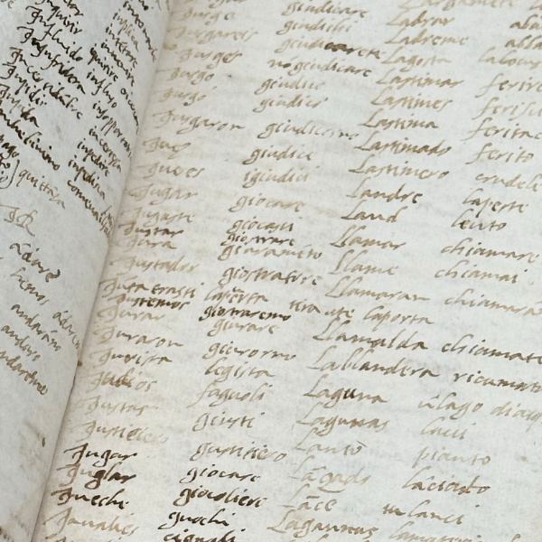 Manuscripts and Letters