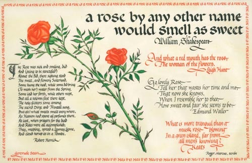 Item #19110 A calligraphic panel on vellum with a watercolor of a stem of roses surrounded by poems and verses relating to roses by Shakespeare, Leigh Hunt, Edmund Waller, John Keats, Robert Herrick and Gertrude Stein. Roger Marcus, scribe.