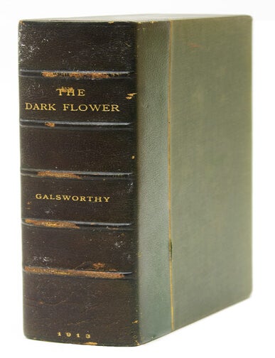 The Dark Flower