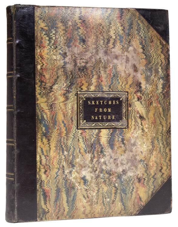 'sketches from Nature Title on front cover, with I on spine of a Book ...