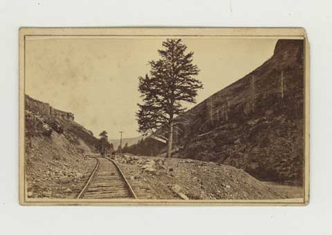 Item #235259 Cartes-de-visite of 1000 Mile Tree, Weber Canyon, Utah [And:] unidentified Western railroad view. Railroads, Savage, Charles Roscoe.