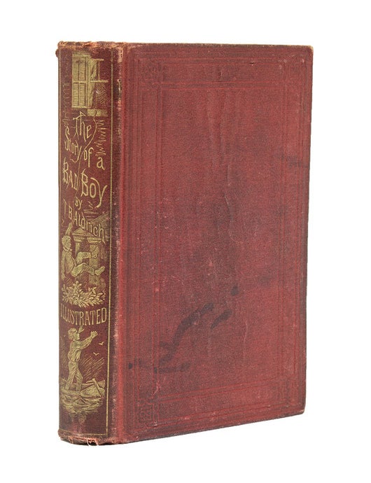 Item #237075 The Story of a Bad Boy. Thomas Bailey Aldrich.