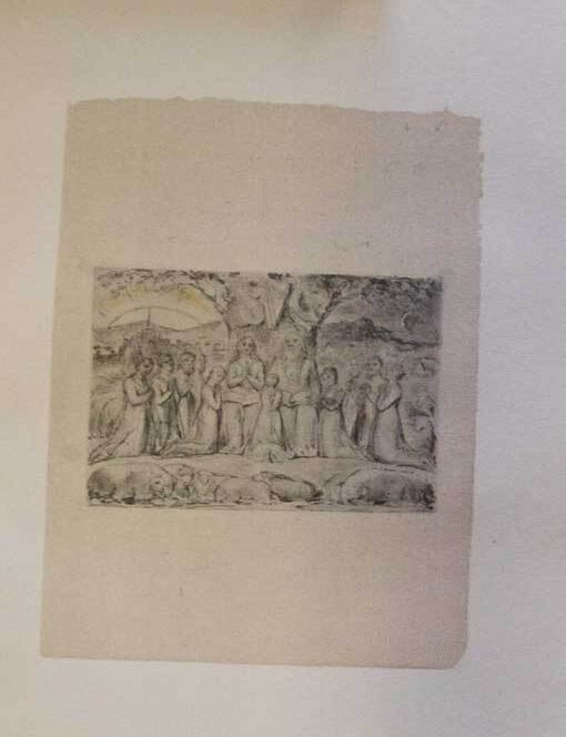 Illustrations of the Book of Job. Introduction by Laurence Binyon and Geoffrey Keynes