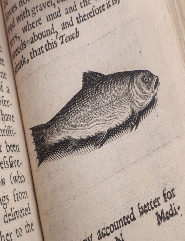 The Compleat Angler or the Contemplative Man's Recreation, being a discourse of Fish and Fishing, not unworthy the perusal of most anglers