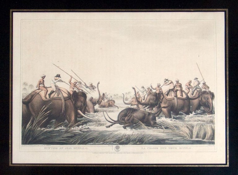 4 Prints: "The Hog Deer at Bay", "Hunting an Old Buffalo" (Number 25), The Tiger at Bay" & "Hog Hunters Meeting by Surprise a Tugress and her Cubs." FROM : Oriental Field Sports; being a complete, detailed, and accurate description of the Wild Sports of the East; and exhibiting, in a novel and interesting manner, the Natural History of. . . undomesticated animals. . . interspersed with a variety of origianl, authentic, and curious anecdotes BY Captain Thomas Wiliamson