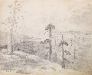 Thirteen amateur pencil drawings on paper of Scenes of Mills in Adirondacks, Rochester "Genessee Lower Falls, Rand Powder Mills, Monroe Co., NY. (6), De Grasse River, Adirondacks (4)