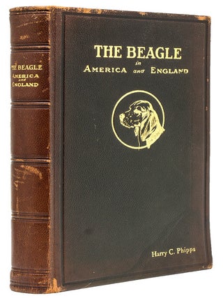 The Beagle in America and England