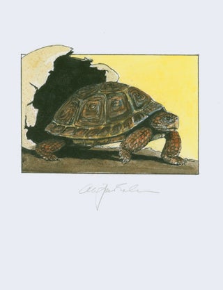 Item #248120 Tortoises. Six Poems by D. H. Lawrence … With an Introduction by Jefferson Hunter....