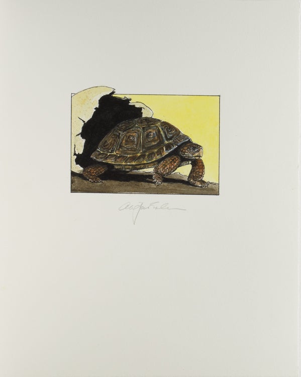 Tortoises. Six Poems by D. H. Lawrence … With an Introduction by Jefferson Hunter