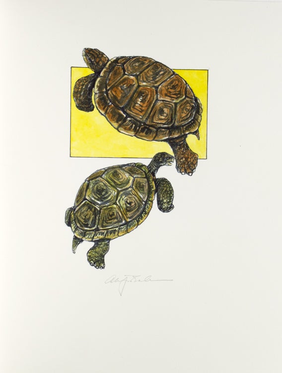 Tortoises. Six Poems by D. H. Lawrence … With an Introduction by Jefferson Hunter