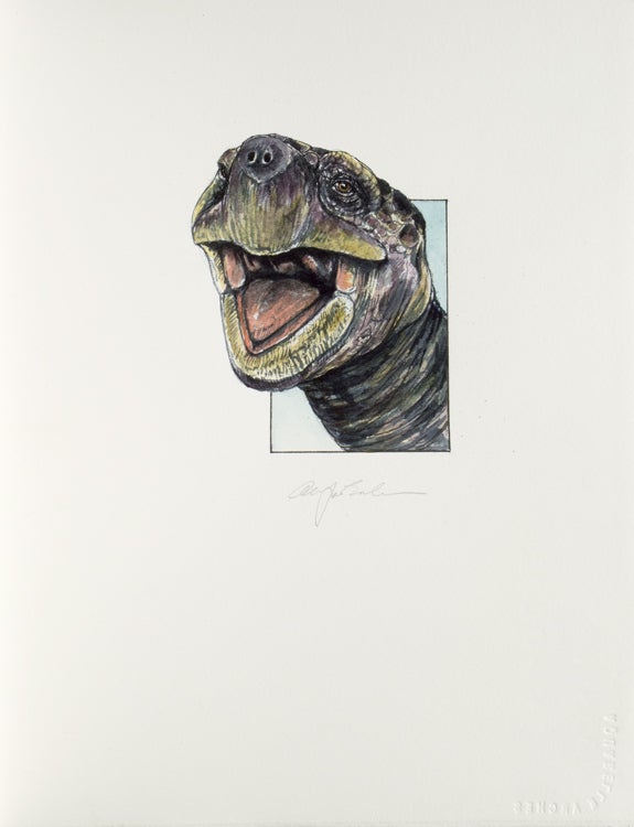 Tortoises. Six Poems by D. H. Lawrence … With an Introduction by Jefferson Hunter