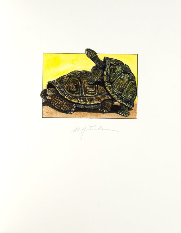 Tortoises. Six Poems by D. H. Lawrence … With an Introduction by Jefferson Hunter
