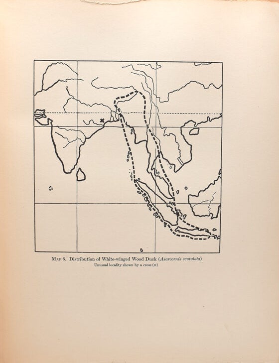 A Natural History of the Ducks