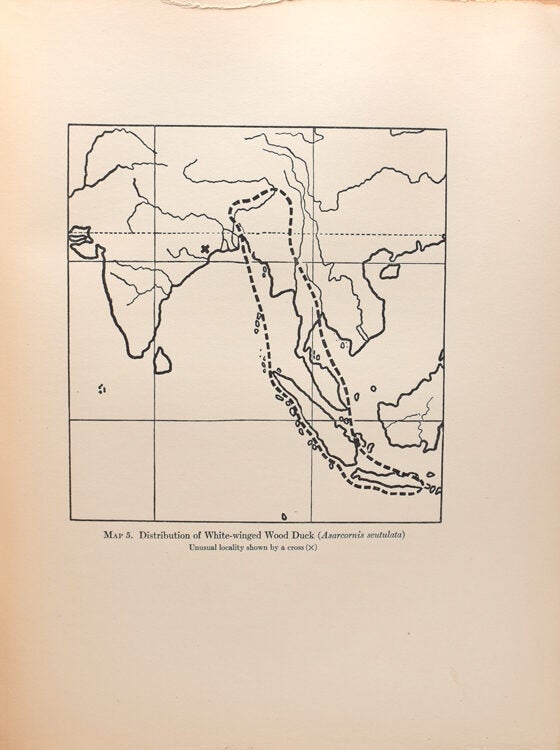 A Natural History of the Ducks