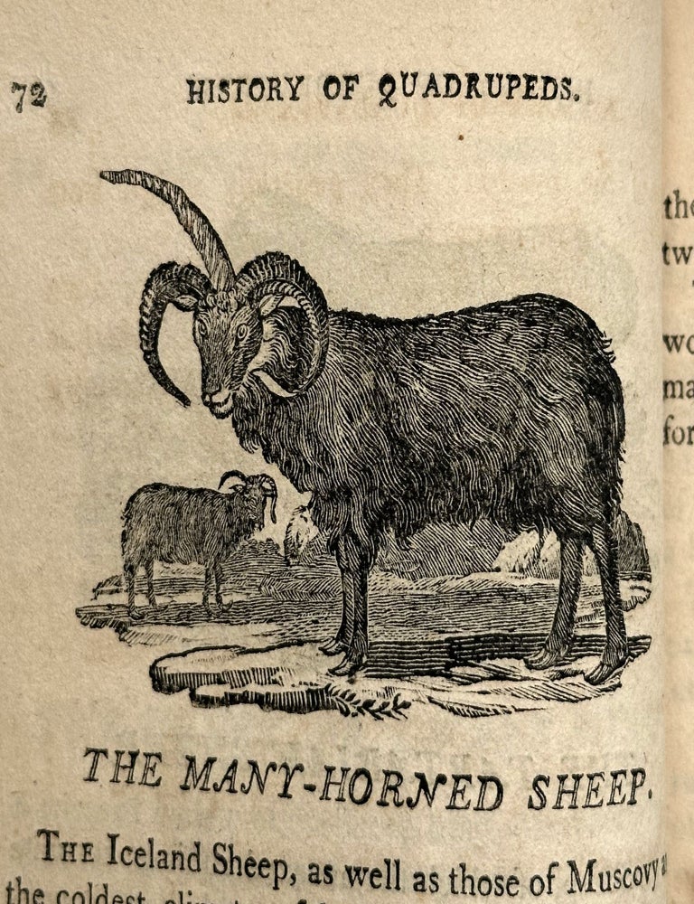 A General History of Quadrupeds. The Figures engraved on wood chiefly copied from the original of T. Bewick, by A. Anderson. With an Appendix, containing some American Animals not hitherto described