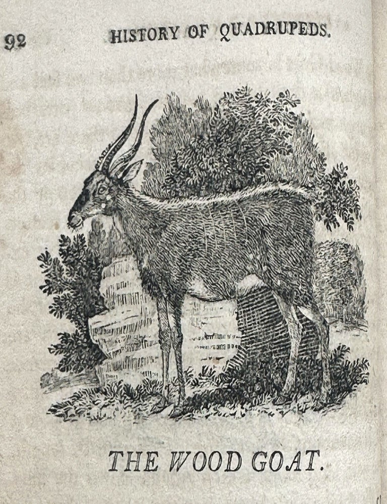 A General History of Quadrupeds. The Figures engraved on wood chiefly copied from the original of T. Bewick, by A. Anderson. With an Appendix, containing some American Animals not hitherto described