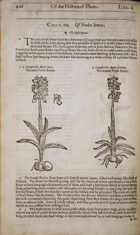 The Herball or Generall Historie of Plantes … very much enlarged and amended by Thomas Johnson