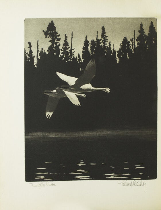 Bishop's Birds. Etchings of Water-Fowl and Upland Game Birds. Foreword by Colonel Harold P.... (4/4)