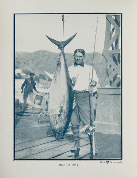 Great Game Fishing at Catalina