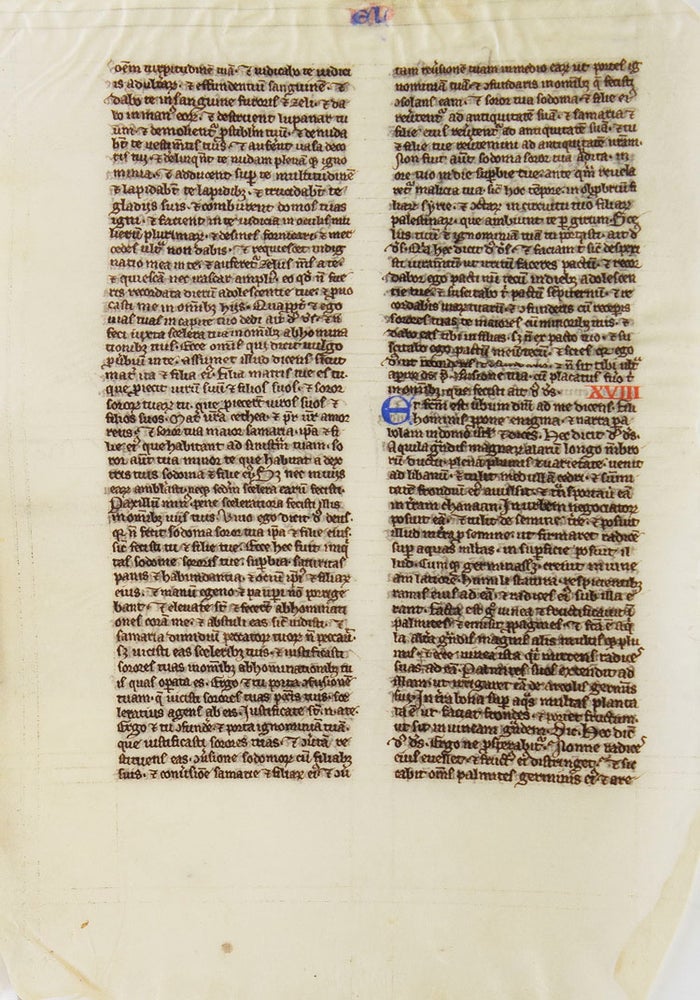 Mannuscript leaf in latin small hand two columns from Book of Ezekiel ending 16:37
