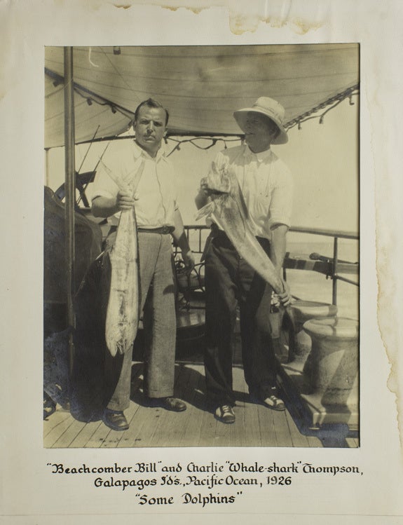 To Galapagos on the Ara 1926: the events of a pleasure-cruise to the Galapagos Islands and a classification of a few rare aquatic findings, including two specimens of a new species of shark never caught before and here described for the first time
