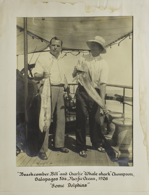 To Galapagos on the Ara 1926: the events of a pleasure-cruise to the Galapagos Islands and a classification of a few rare aquatic findings, including two specimens of a new species of shark never caught before and here described for the first time