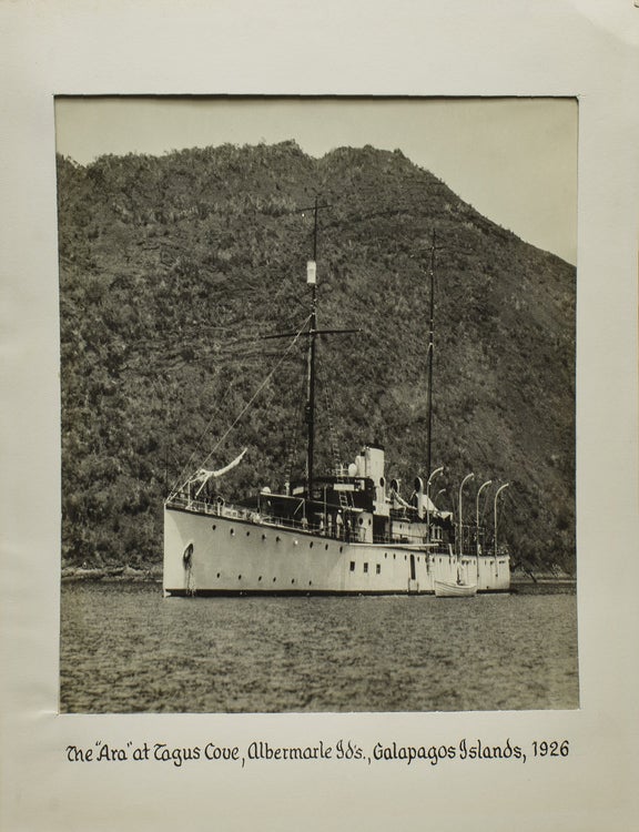 To Galapagos on the Ara 1926: the events of a pleasure-cruise to the Galapagos Islands and a classification of a few rare aquatic findings, including two specimens of a new species of shark never caught before and here described for the first time