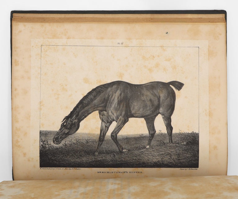 A Comparative View of the Form and Character of the English Racer and Saddle-horse during the Last and Present Centuries