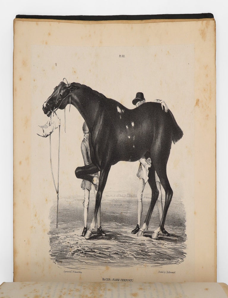 A Comparative View of the Form and Character of the English Racer and Saddle-horse during the Last and Present Centuries