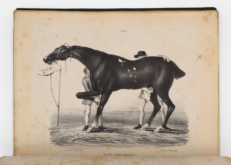 A Comparative View of the Form and Character of the English Racer and Saddle-horse during the Last and Present Centuries