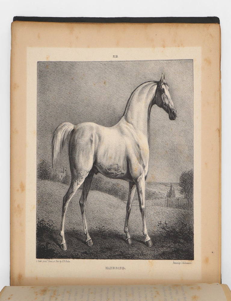 A Comparative View of the Form and Character of the English Racer and Saddle-horse during the Last and Present Centuries