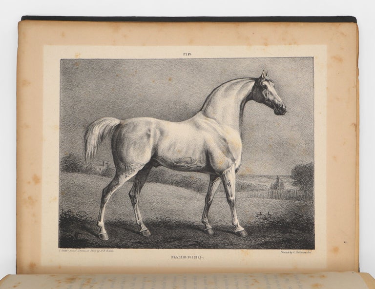 A Comparative View of the Form and Character of the English Racer and Saddle-horse during the Last and Present Centuries