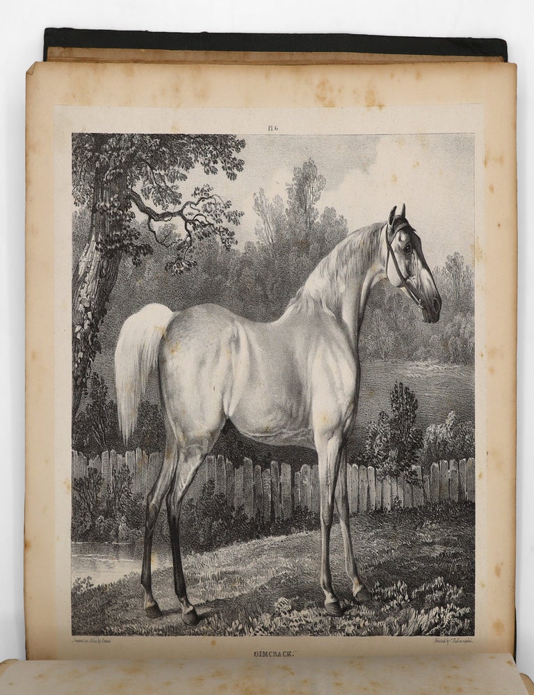 A Comparative View of the Form and Character of the English Racer and Saddle-horse during the Last and Present Centuries