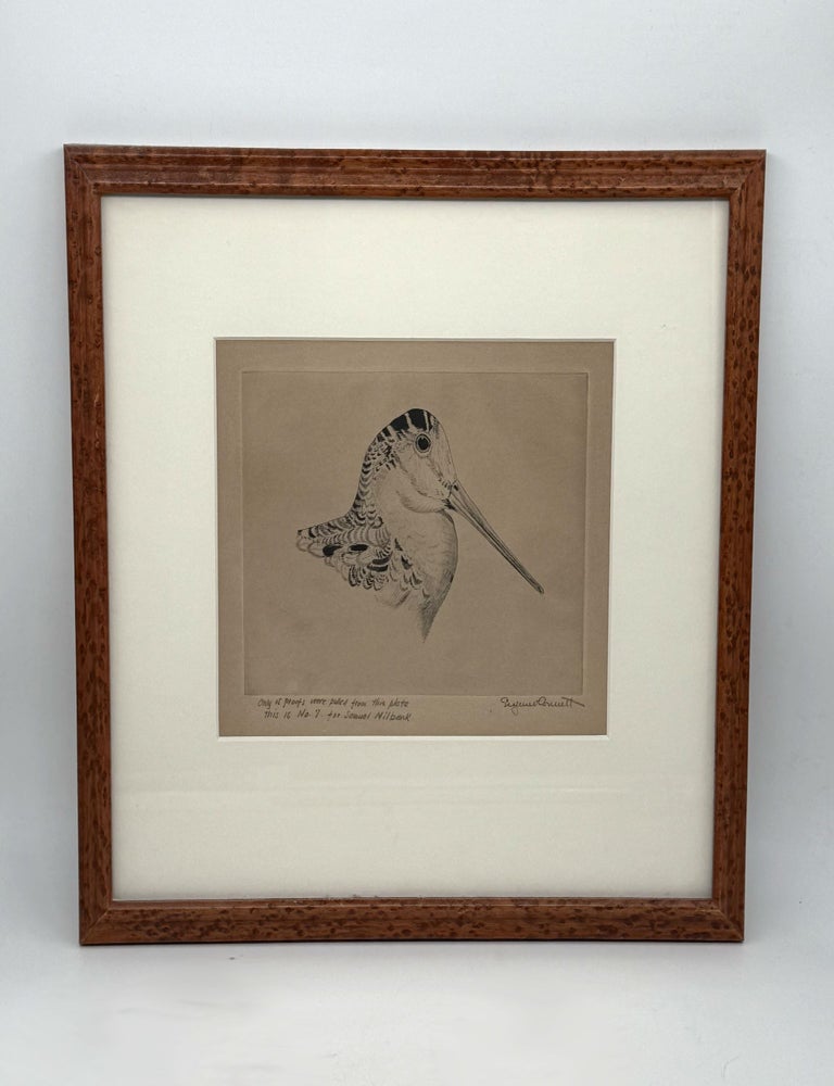 Item #302608 Etching of a Woodcock Head. Eugene V. Connett, 3rd.