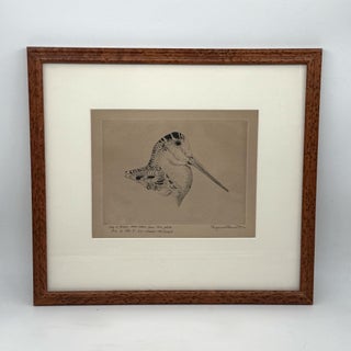 Item #302608 Etching of a Woodcock Head. Eugene V. Connett, 3rd
