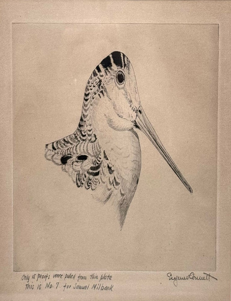Etching of a Woodcock Head (2/2)