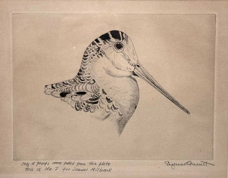 Etching of a Woodcock Head (2/2)