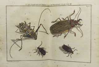 Der monatlich-herausgegebenen Insecten-Belustigung