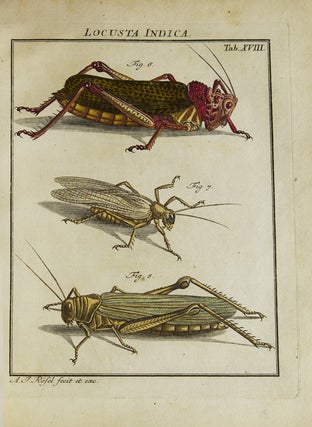 Der monatlich-herausgegebenen Insecten-Belustigung