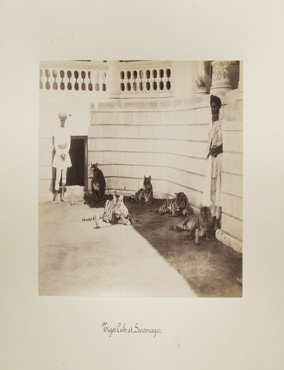 Photographs of the Indian Tour of Archduke Franz Ferdinand of Austria, January to March 1893