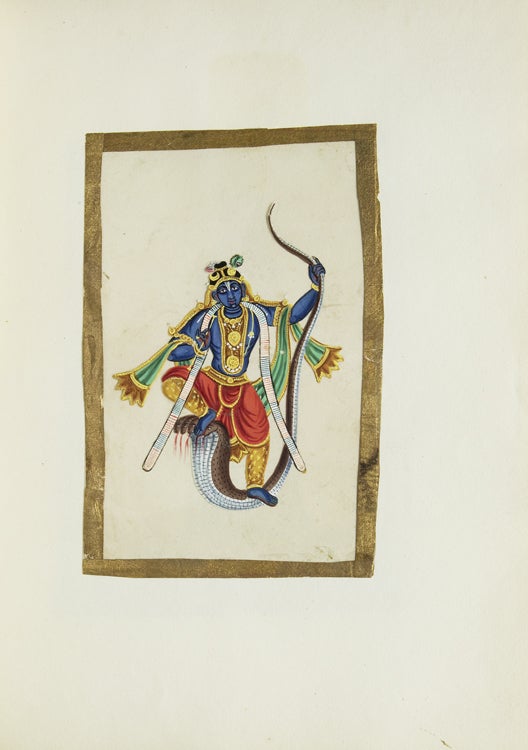 Album of Indian miniatures