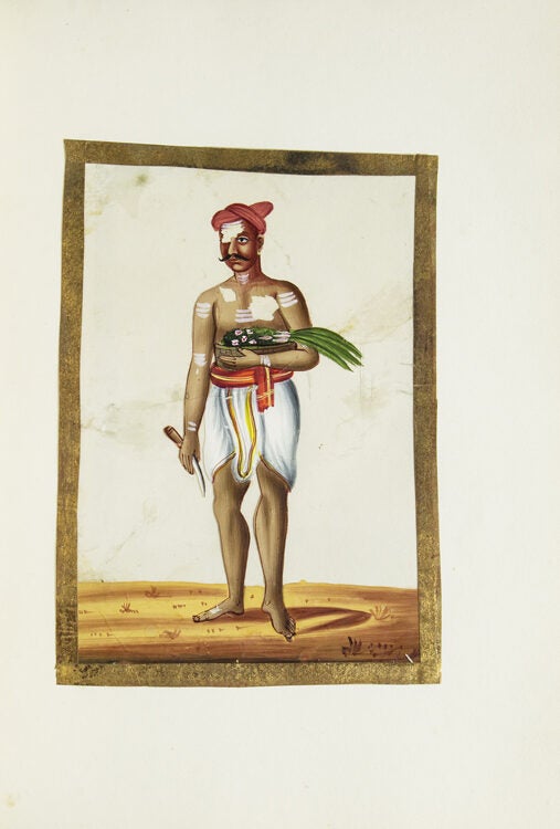 Album of Indian miniatures