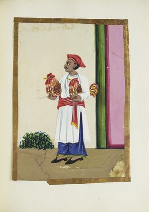 Album of Indian miniatures
