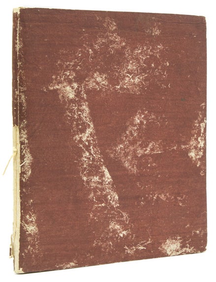 Album of Indian miniatures