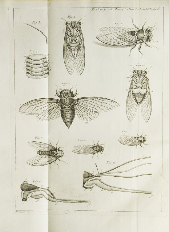 Memoires pour servir a l'Historie des Insectes