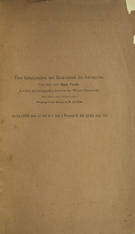 Über spinalganglien und Rückenmark des Petromyzon. from Sitzungsberichte der der... (2/2)